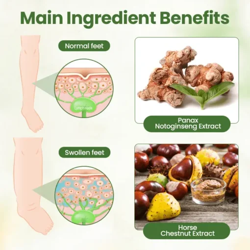 LUHAKA® Lymphatic Detox Herbal Cream