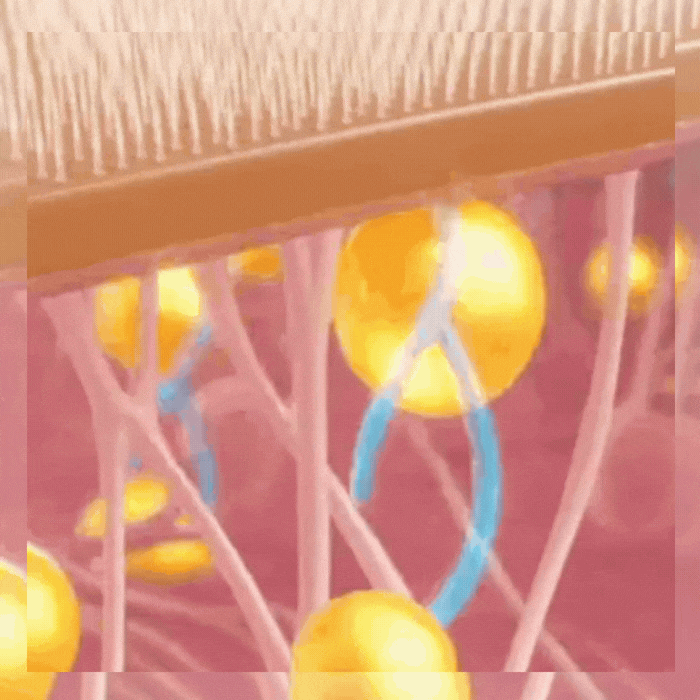 Luhaka® Turn Back 10 Years of Aging Without a Single Needle